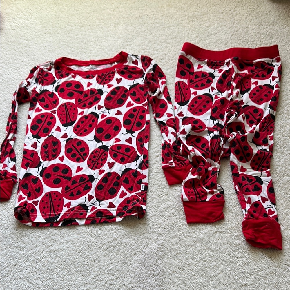 Little Sleepies Love Bug LS pajamas size 4